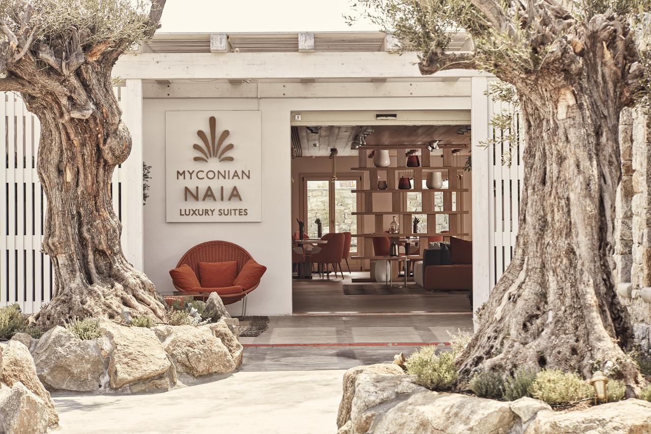 Myconian Naia - Preferred Hotels & Resorts (Adults Only) Mykonos Town Экстерьер фото